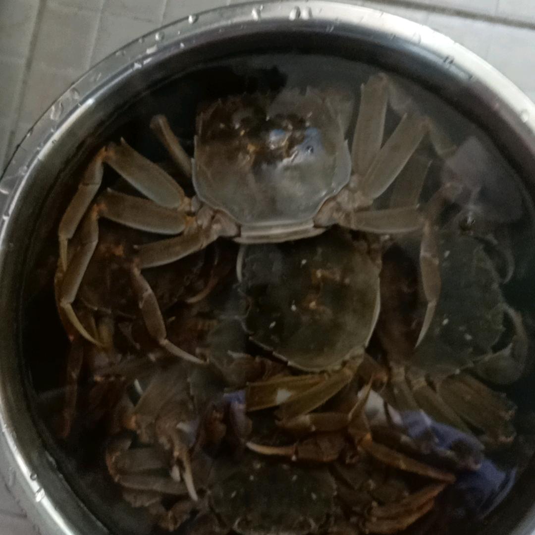 遇见已是上上签