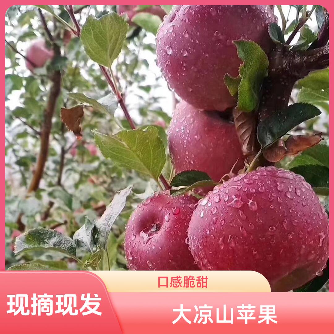 左二娃果园