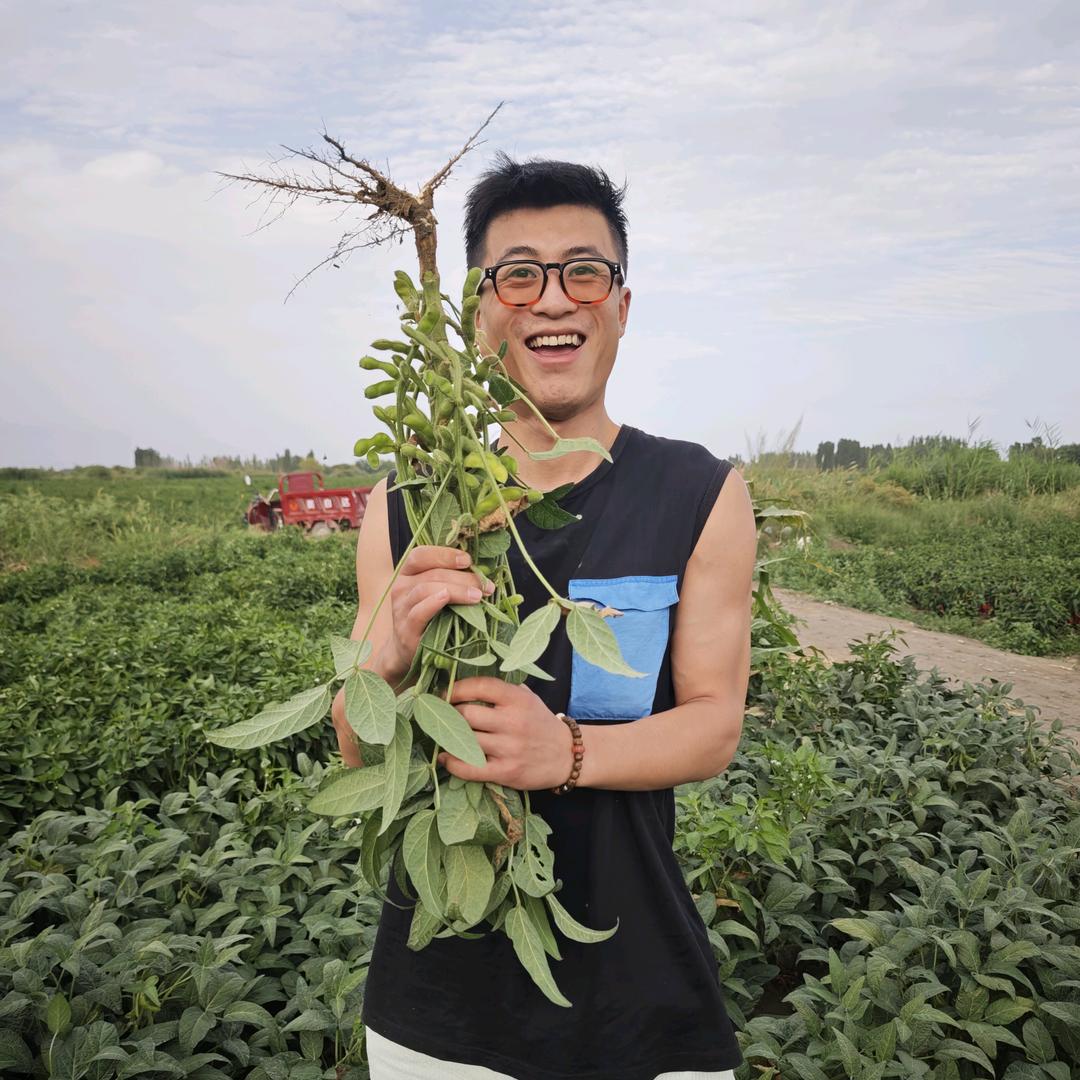 钱怎么没啦？(不好好摆摊就要回家种地版）