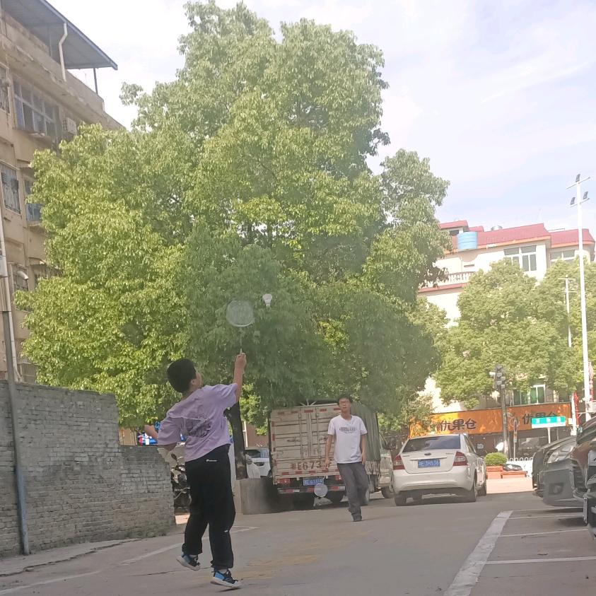 （＾ｖ＾） 花