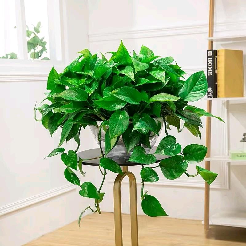 红红火火💕💕