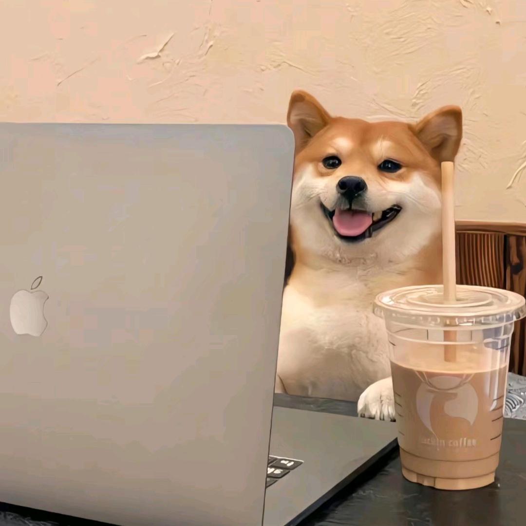 躺平真的好舒服