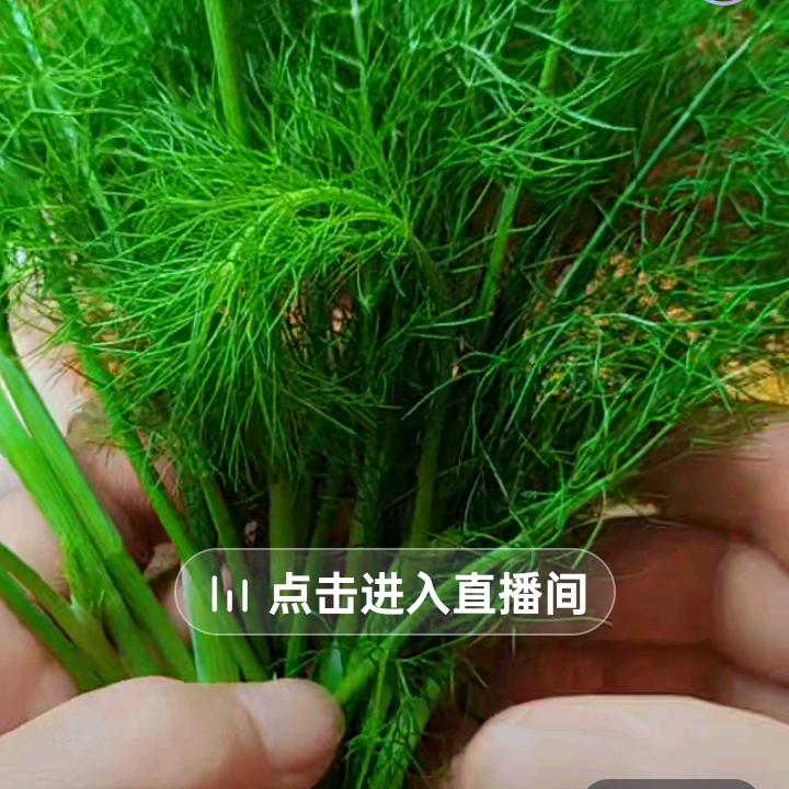 三姝姐