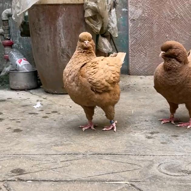 你好