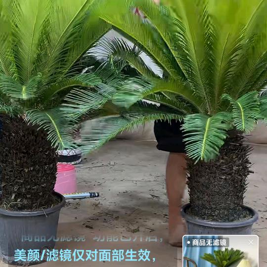一切都好！！