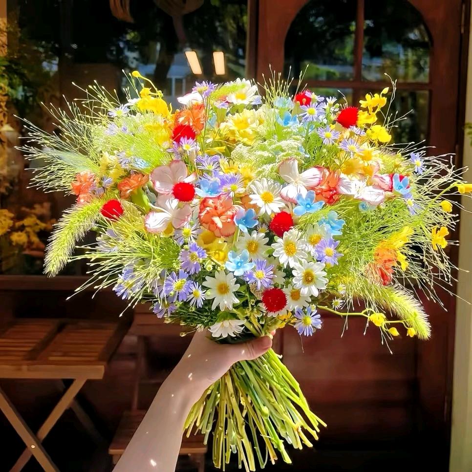 禾禾木花卉