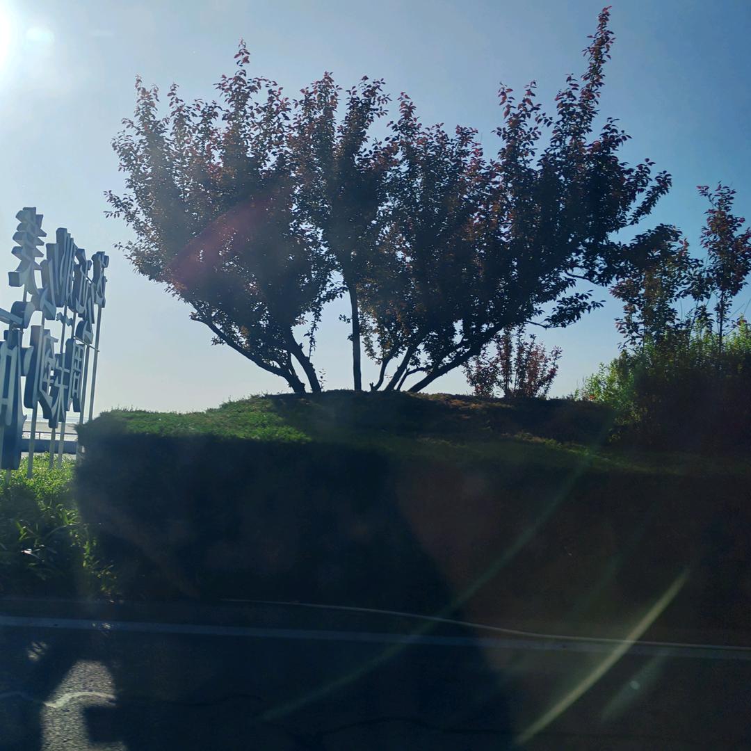 云淡风轻☁️