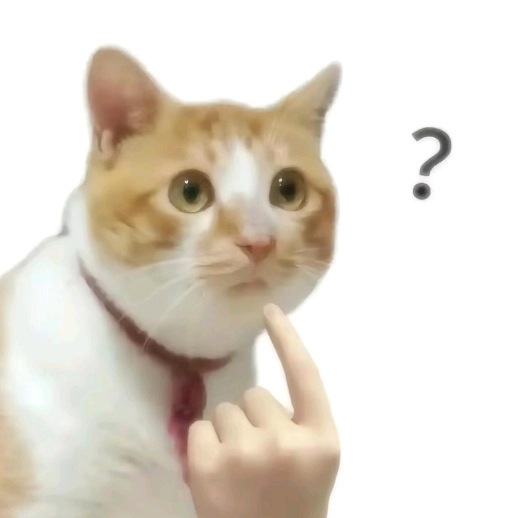 牛牛牛牛牛油果