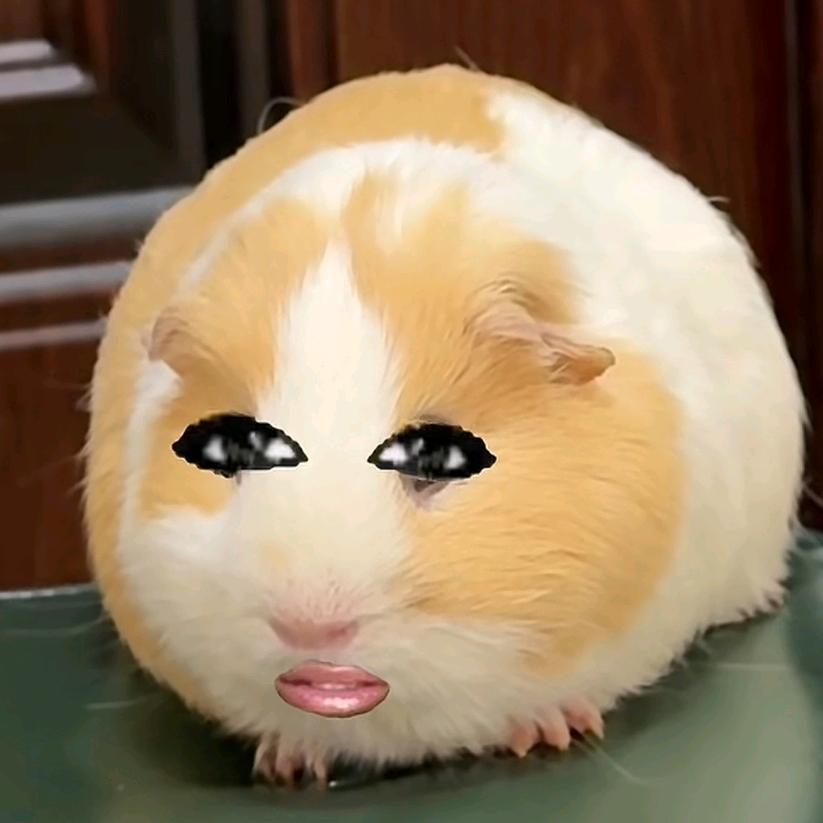 屁股比脸大