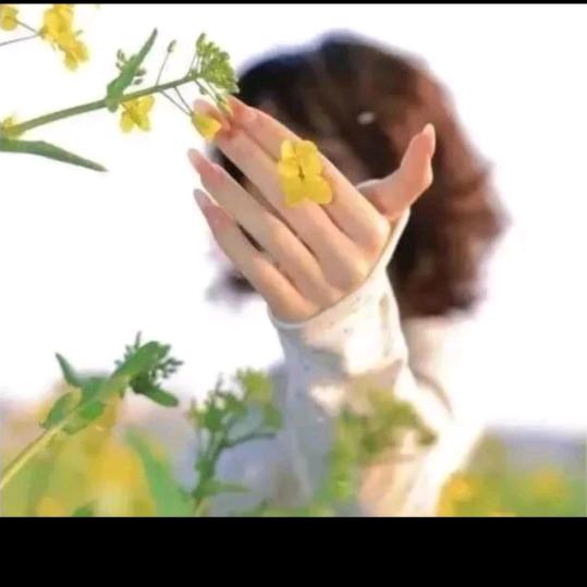柠檬不酸