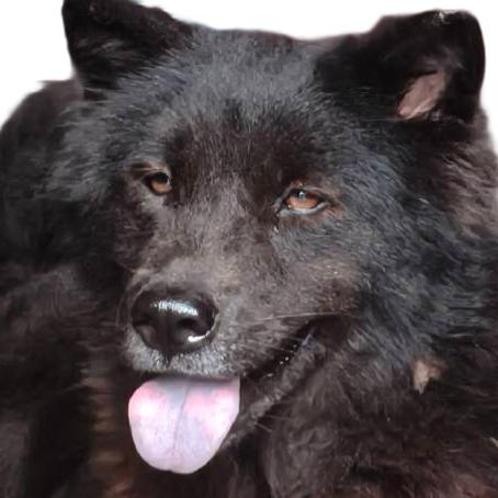 🐠鱼䲆鱻䲜🐠