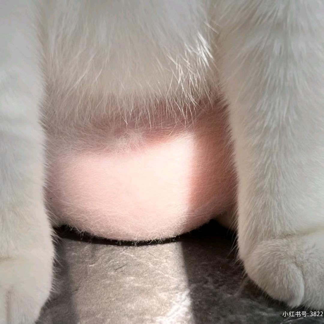 猛踹瘸子那好腿