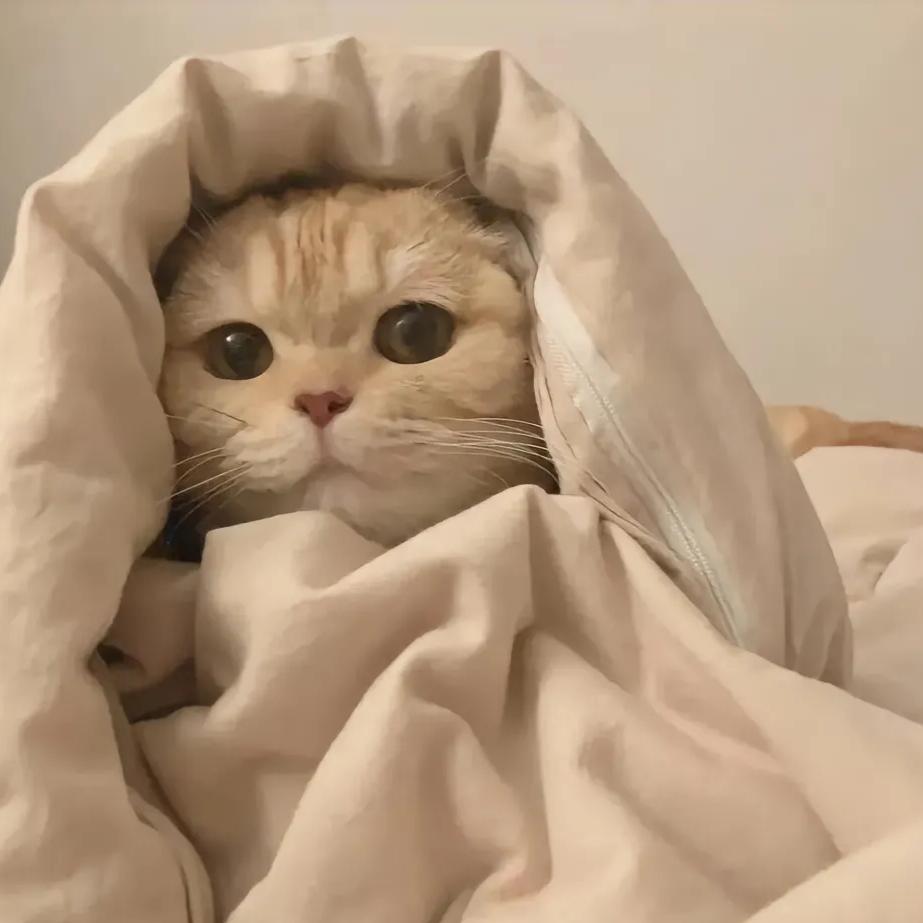 Wᴀɪᴛ .