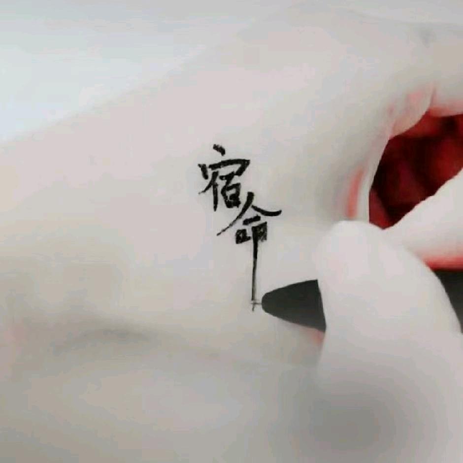 满眼星辰《陈》