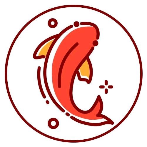 小贝伴学