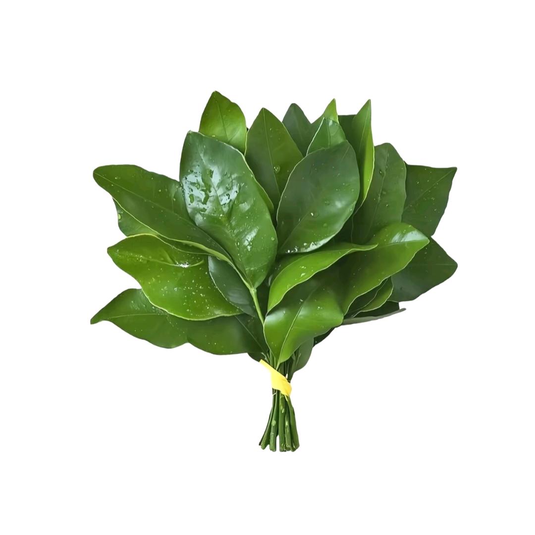 小小小