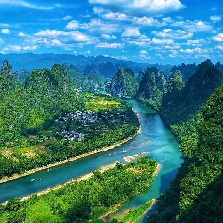 杨总