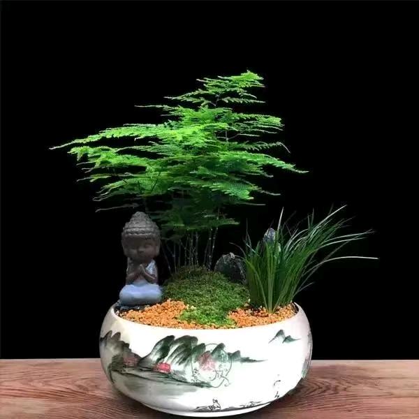 土匪头子