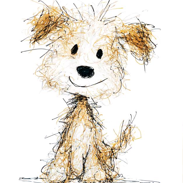 蜗牛🐌带我去散步🚶