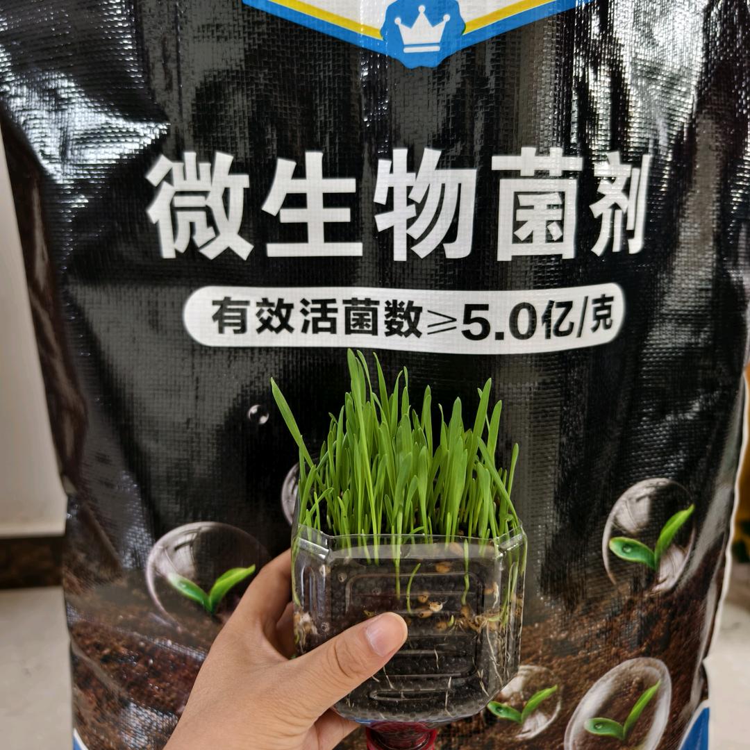 颗粒菌肥底肥首选