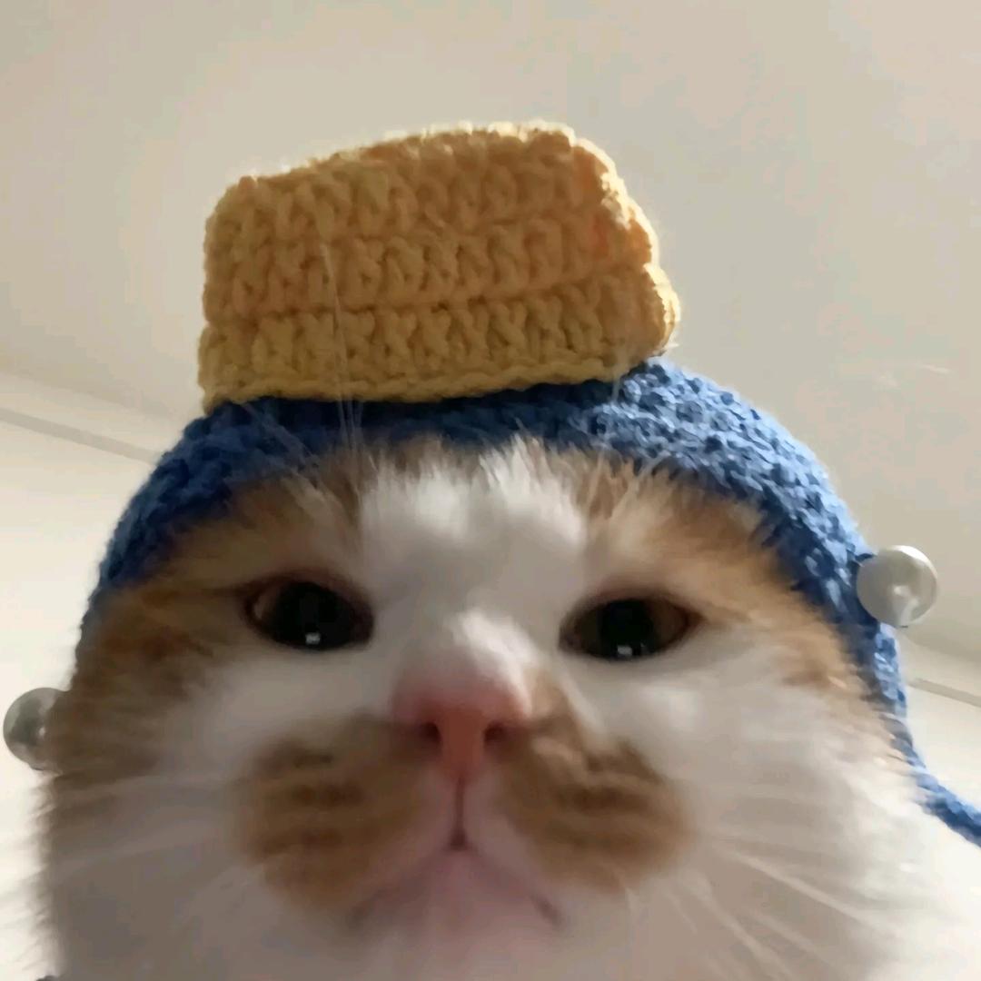 执