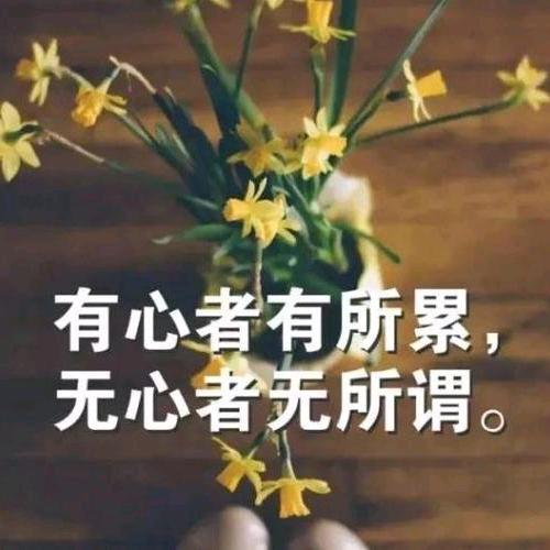 你若不離 我定不棄