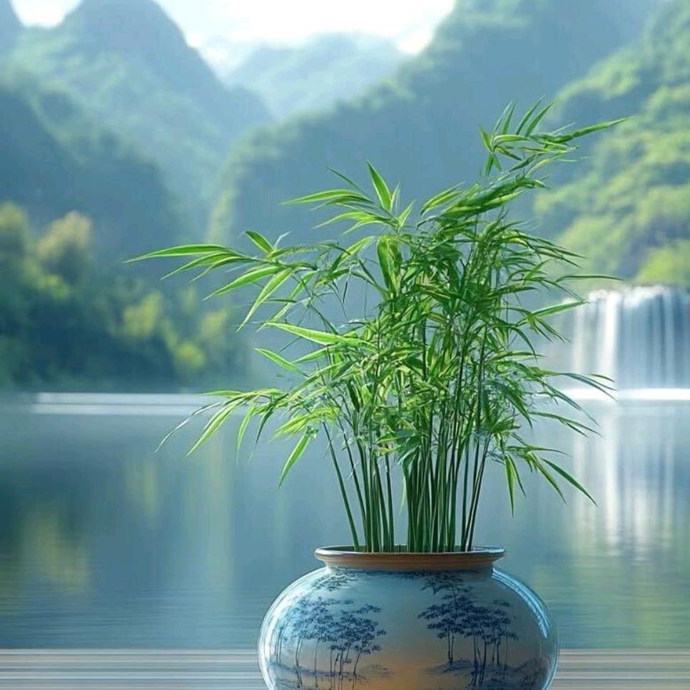 放下