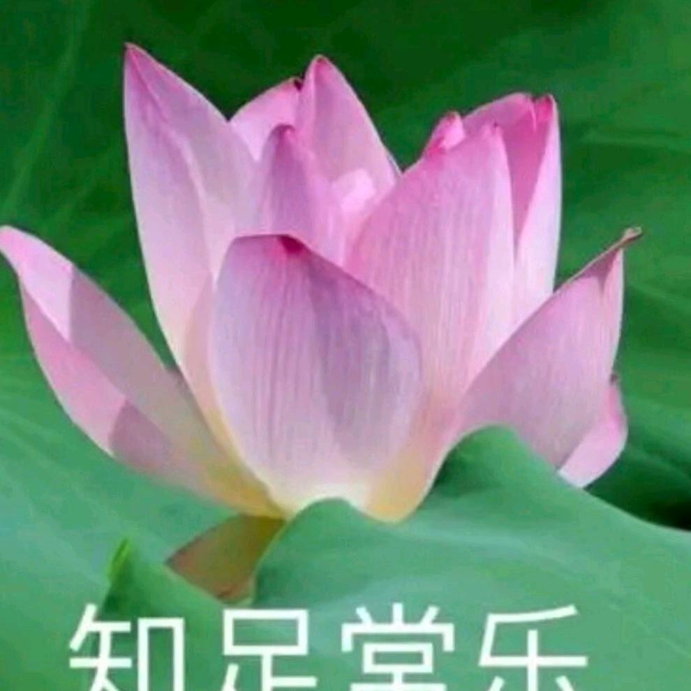 忘记过去
