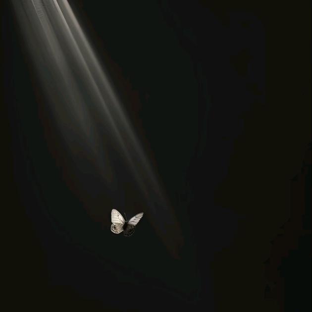 迟遇.