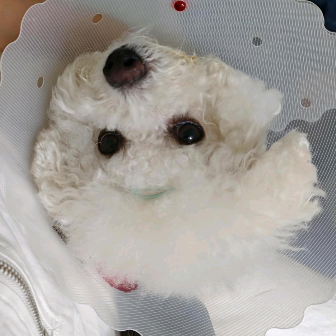 本人自愿刷到
