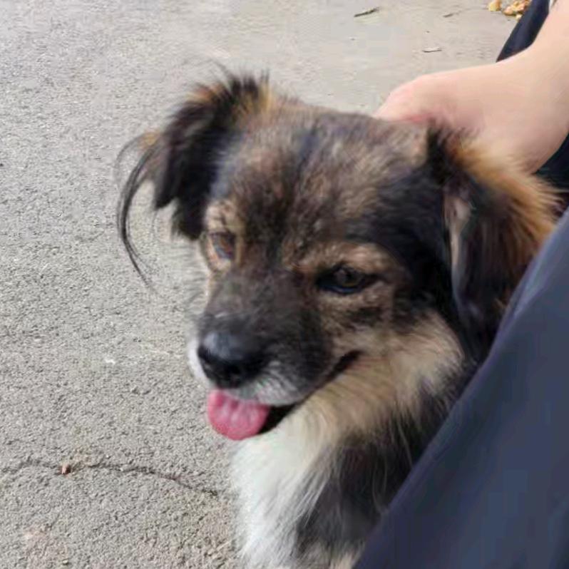 荣翊乖乖精选店