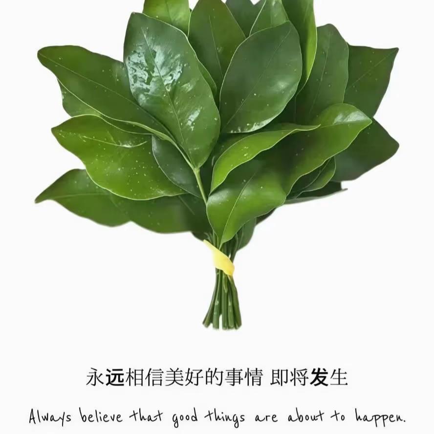鬼迷日眼勒。