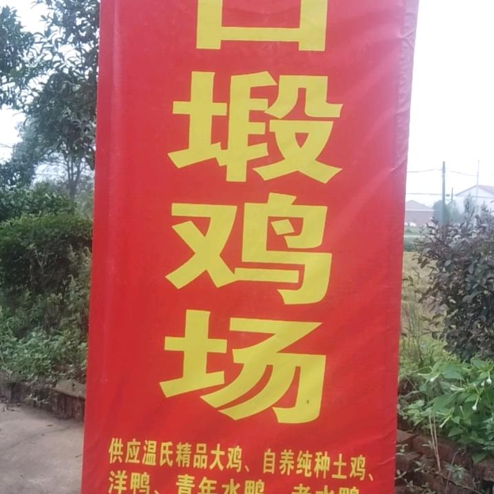 司马禽业