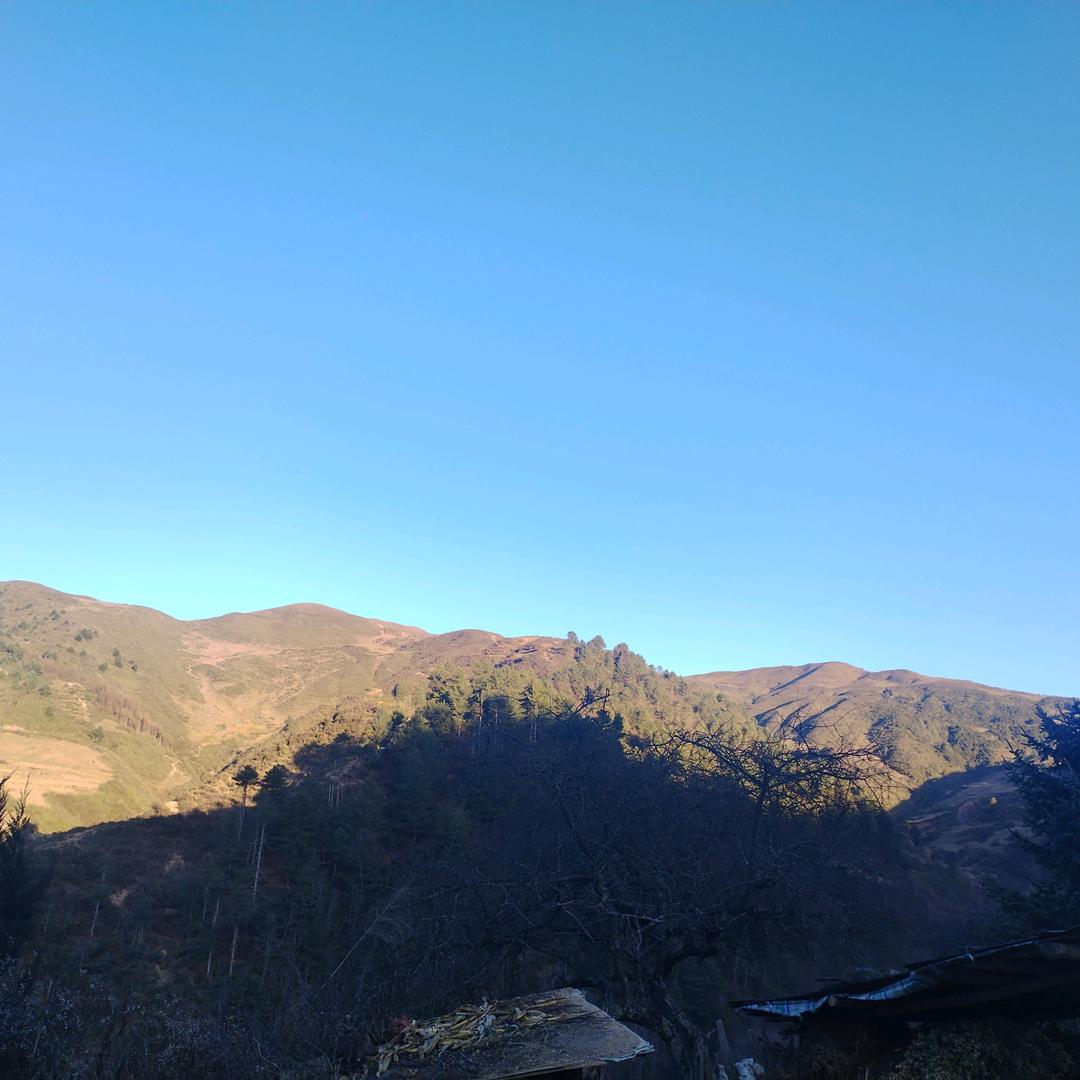 叫出息