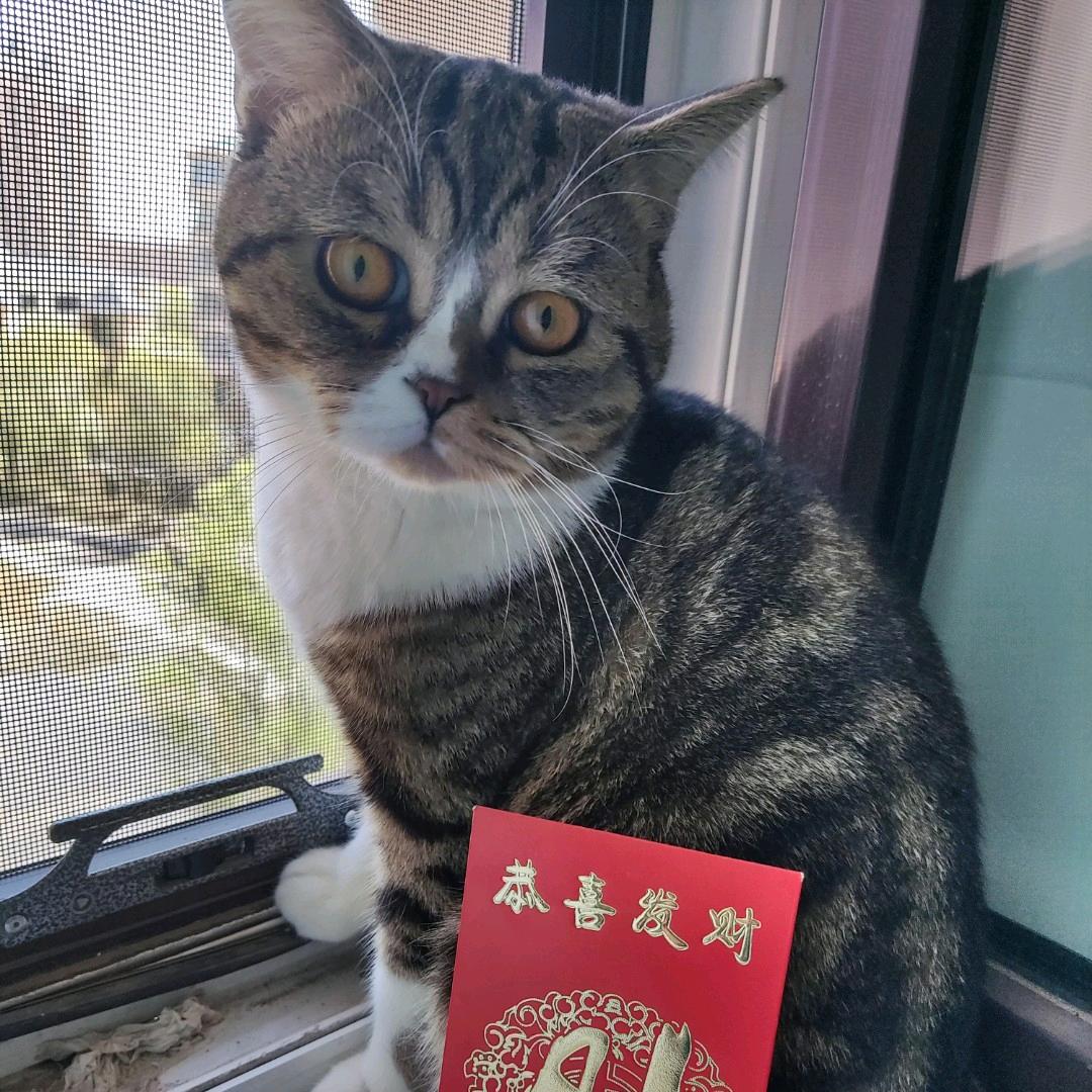不爱淦饭
