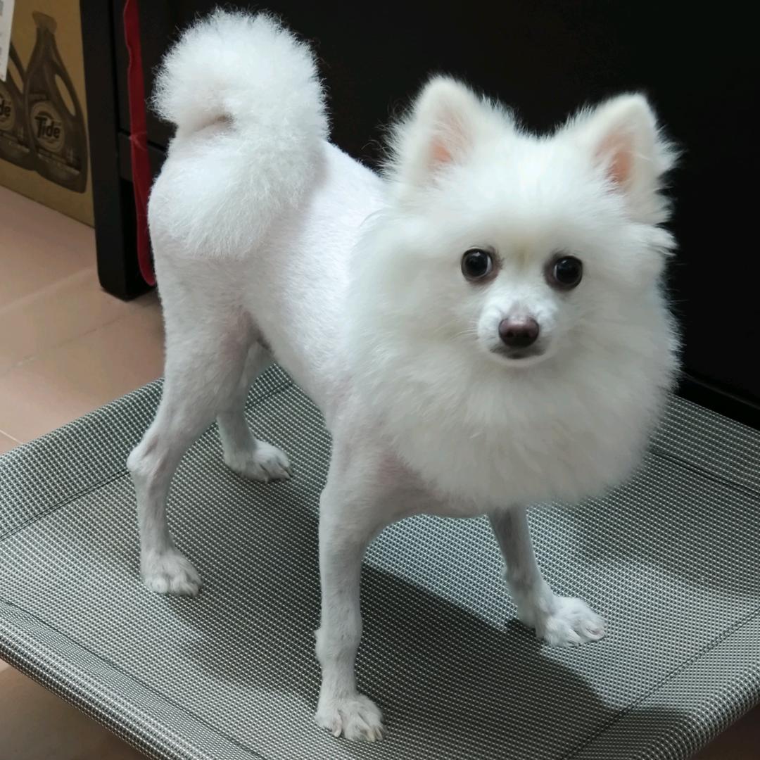 广西刘诗诗