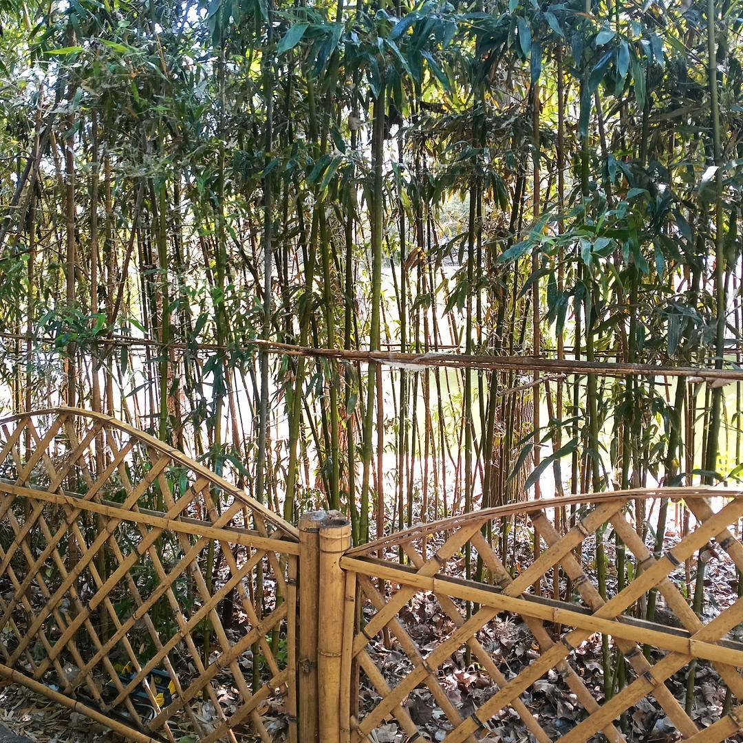 Vanward万和电气(文峰路店)