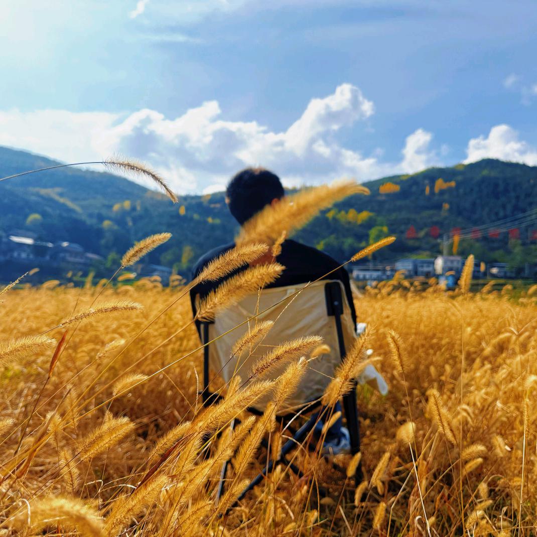 我在人间贩卖黄昏