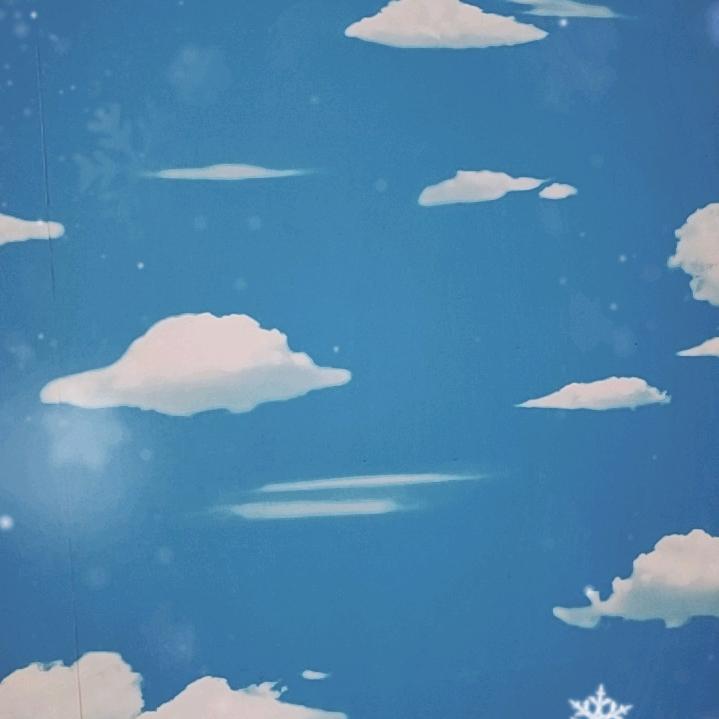 孤独的人生