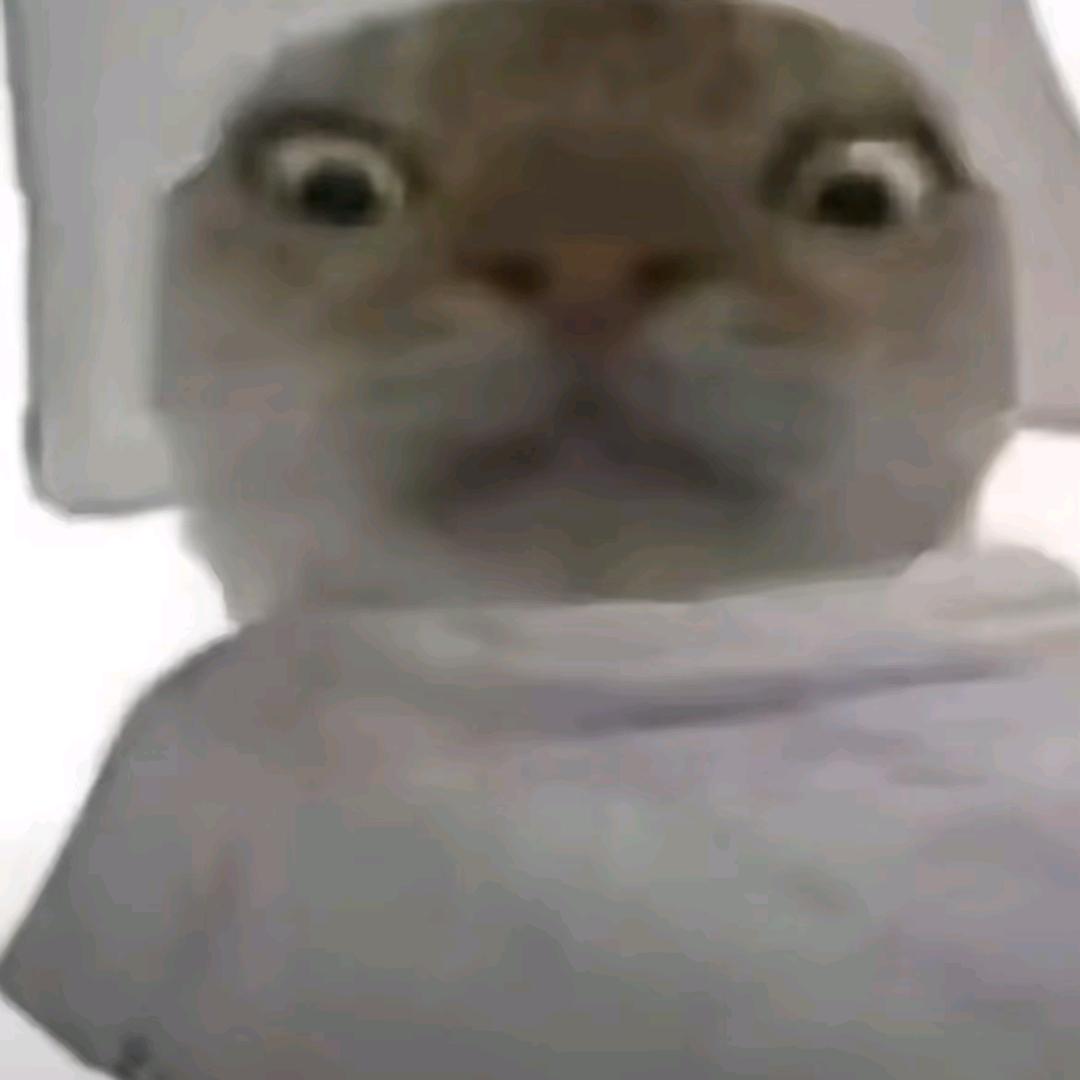 飞影