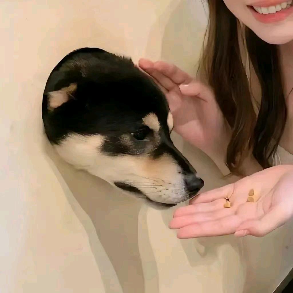 玄懿//信檄