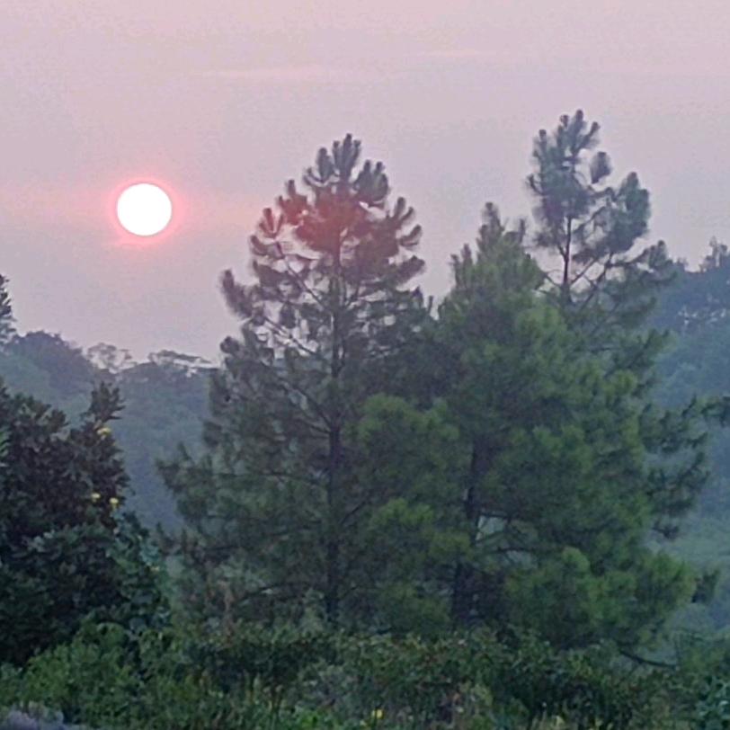 独守一人心 💞