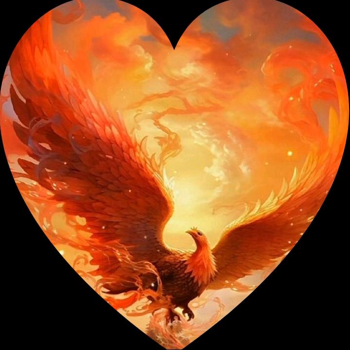 💋道👉满满💋