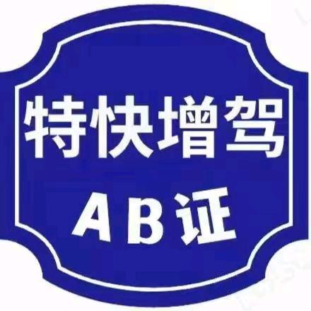 教车资深马教练二十年