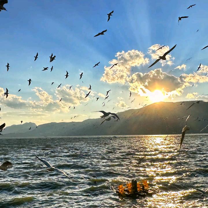 璧山大何鲫鱼（海鲜小馆）