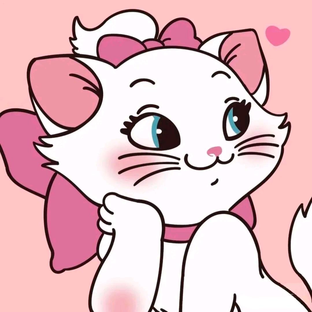 小十一是只🐱