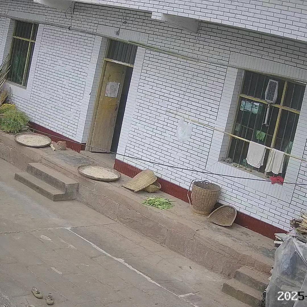 十月兔子不吃草1975年免子