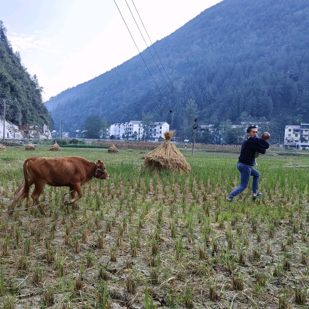 @YB在乡村