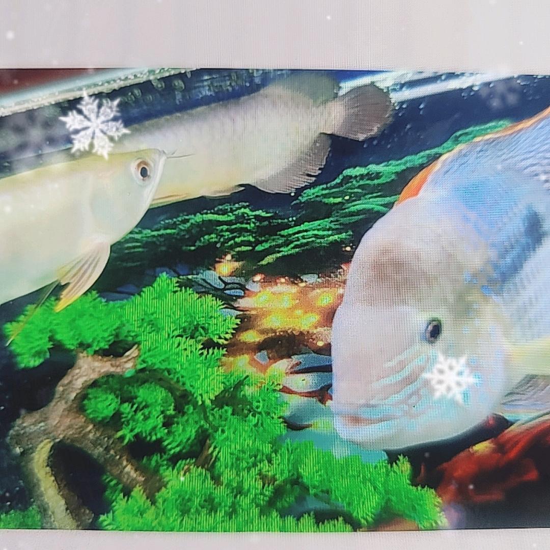 腾飞