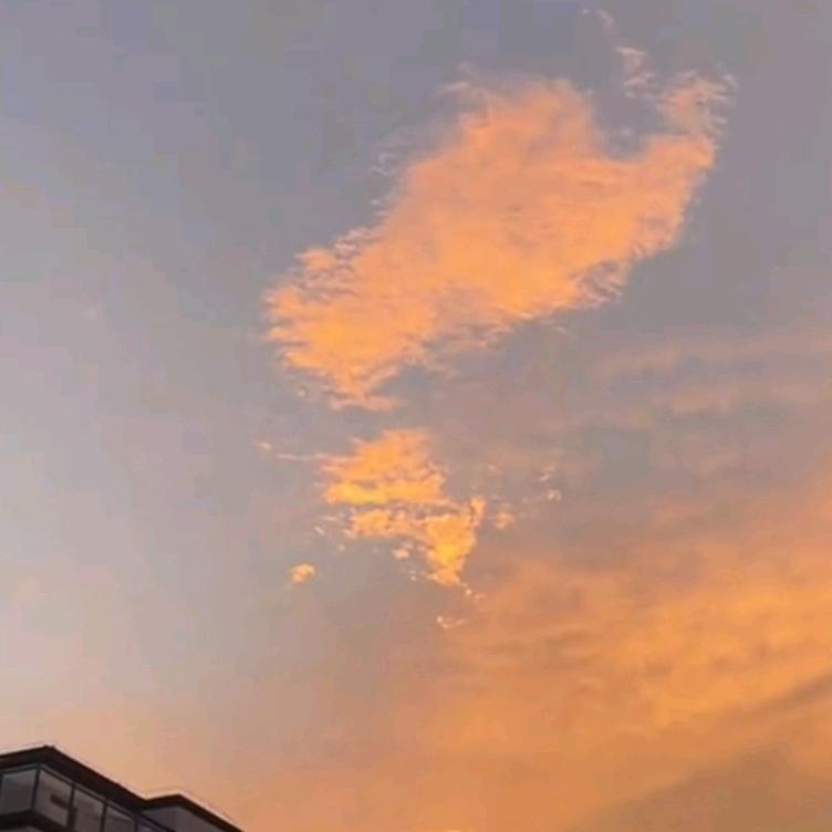 温柔的太阳